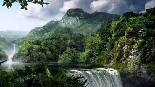 Công viên Madidi - Bolivia